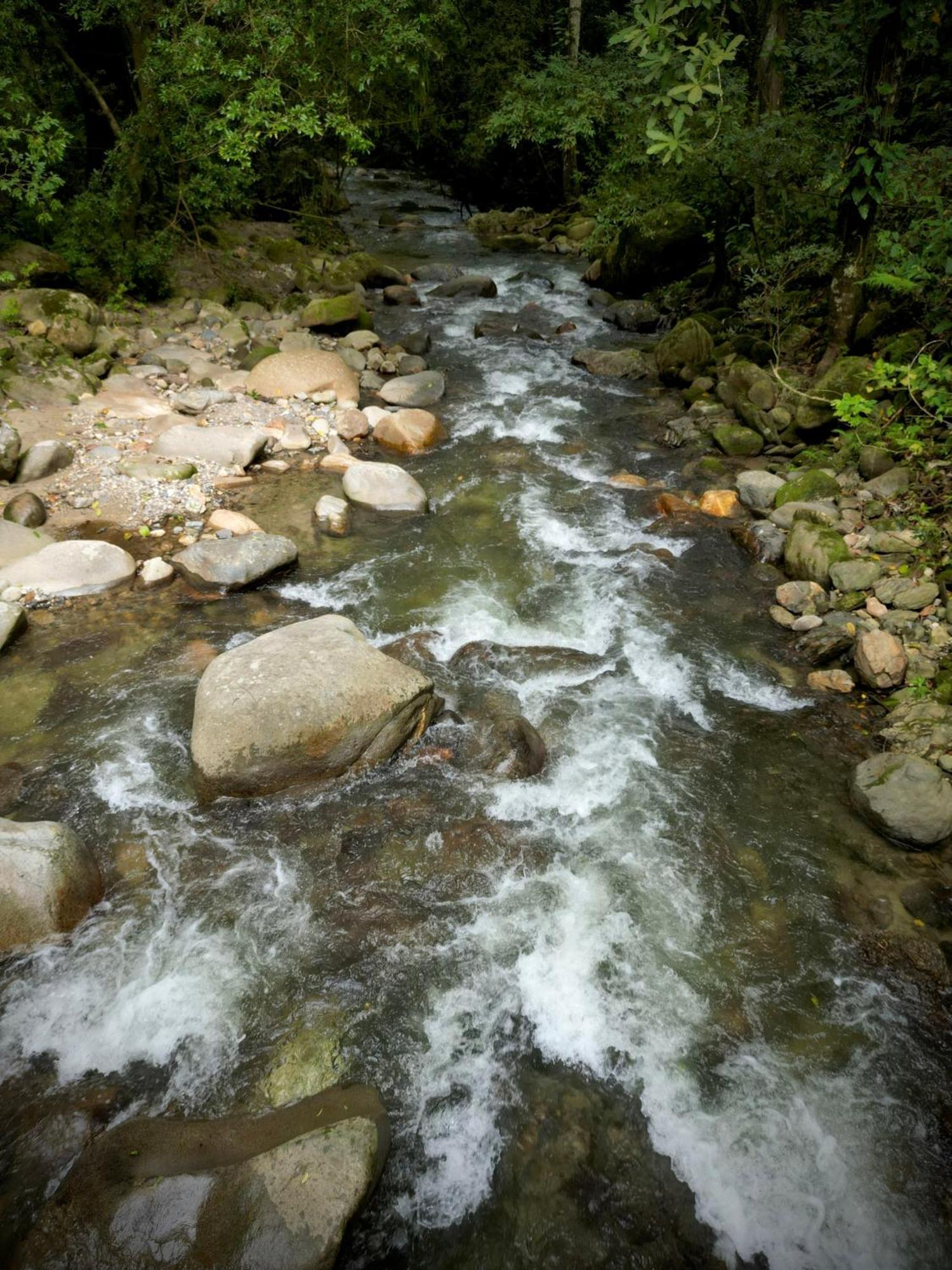 Las Cabanas Del Rio ミンカ エクステリア 写真